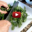 VIDEO - METHI SAAG BHAJA – FENUGREEK LEAVES FRY VIDEO - METHI SAAG BHAJA – FENUGREEK LEAVES FRY